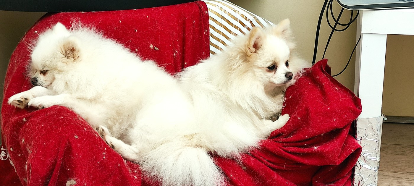 Velvela Back to the Origins Du Chant Des Etoiles